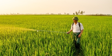 agriculture-9939844_960_720.jpg