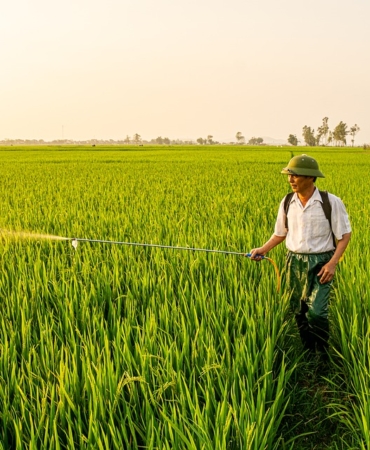 agriculture-9939844_960_720.jpg