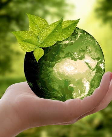 nature-3289812_960_720.jpg