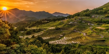 rice-terraces-2389023_960_720.jpg
