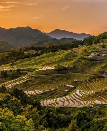 rice-terraces-2389023_960_720.jpg