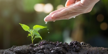 soil-8080788_960_720.jpg
